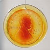 Blenko Heads Penny Suncatcher Tangerine