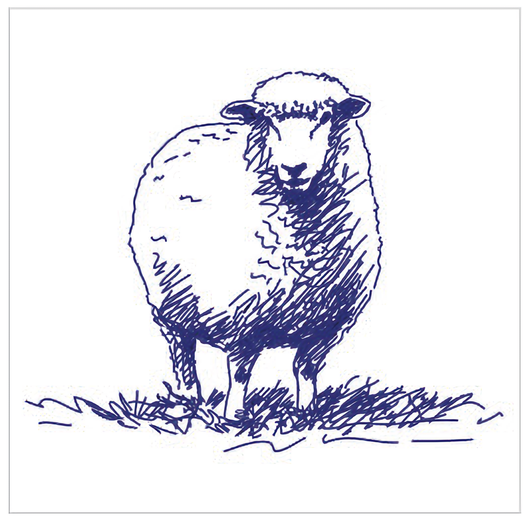 Sheep - Euroscrubby Dishcloth