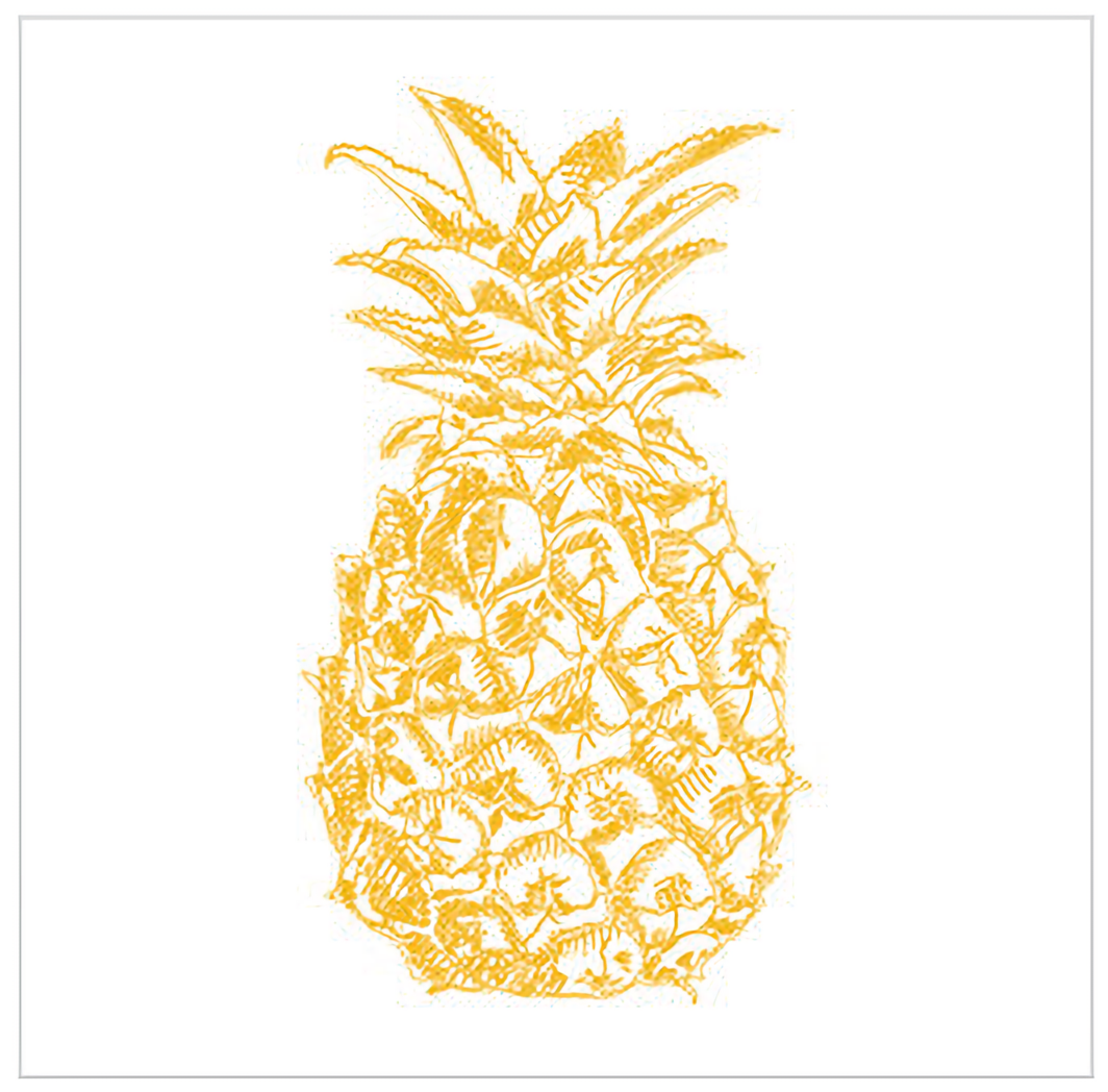 Pineapple - Euroscrubby Dishcloth