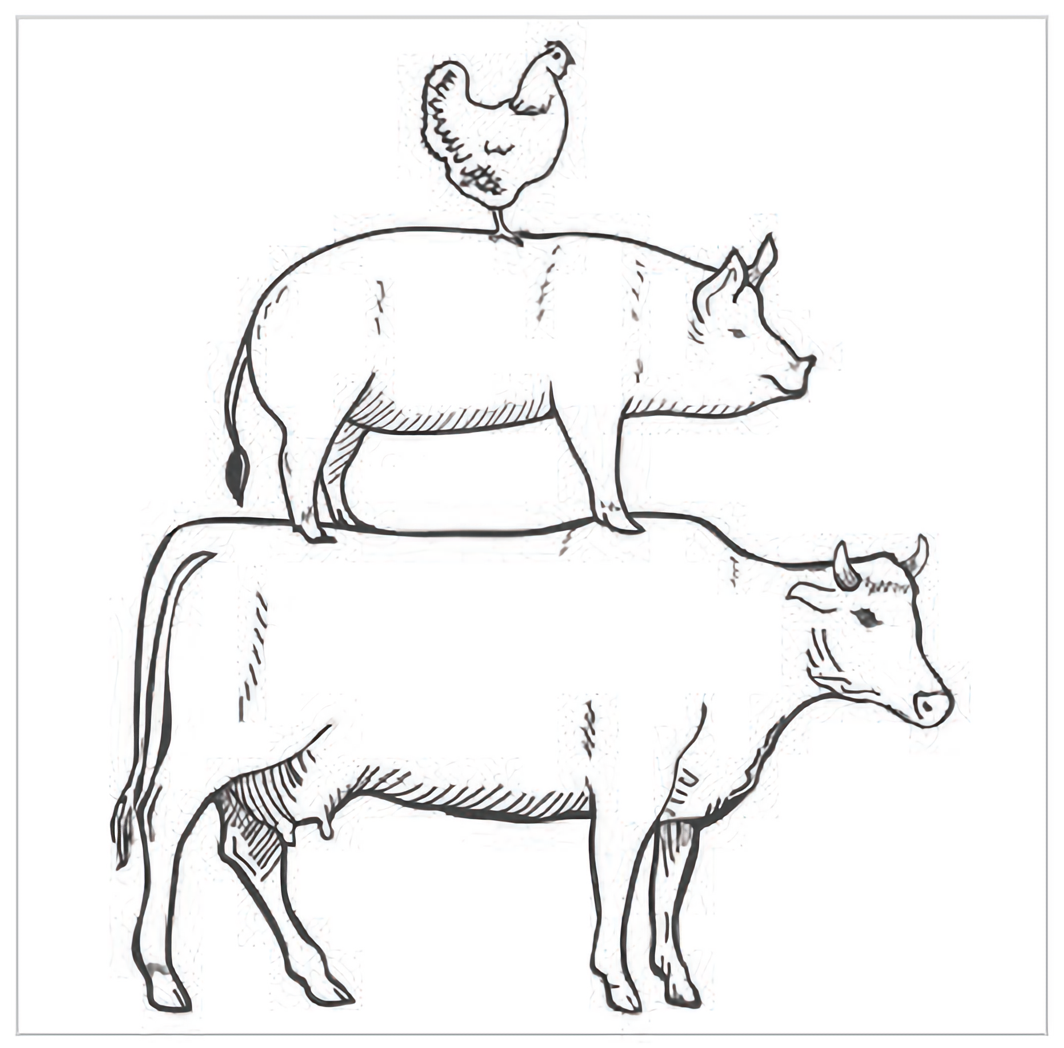 Farm Animals - Euroscrubby Dishcloth