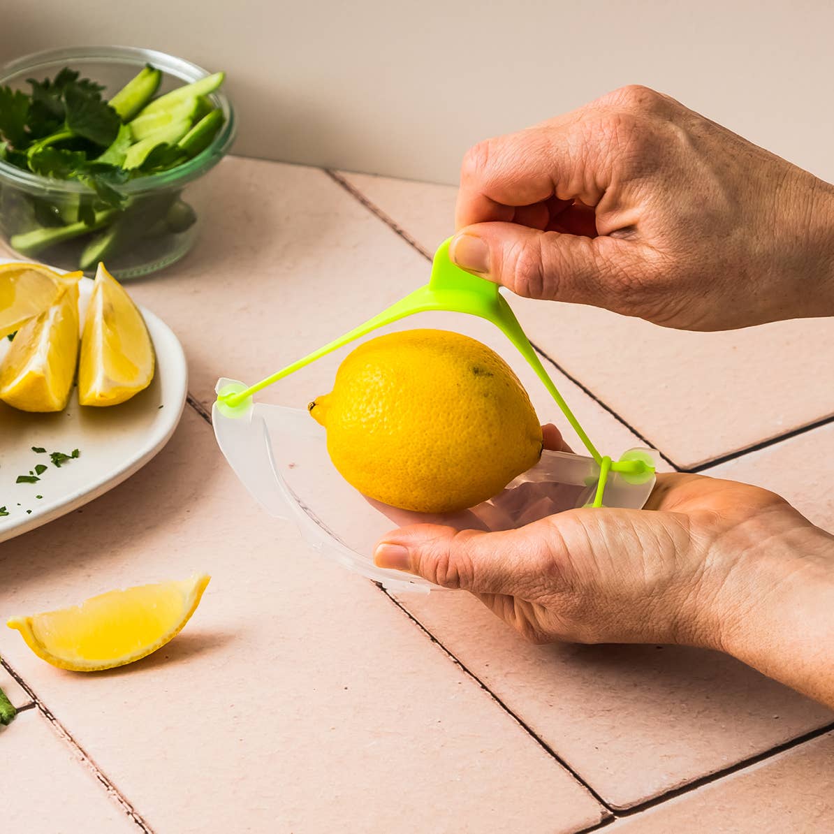 Savel - Saves Whatever is Left