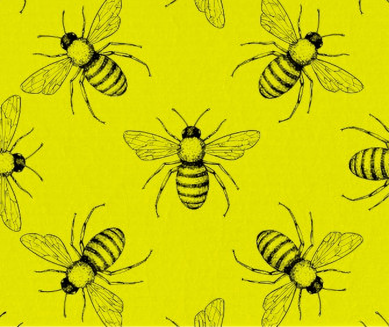 Euroscrubby - Bees - Euroscrubby Dishcloth