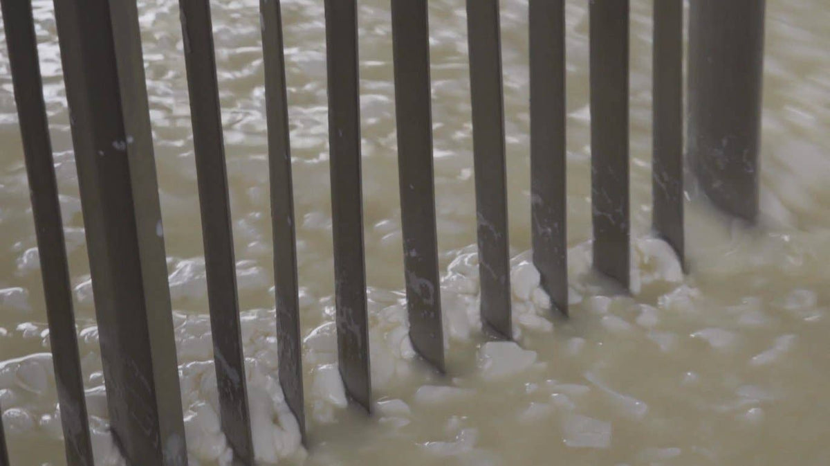 Nicola's Marketplace - Genuine Fulvi® Pecorino Romano DOP