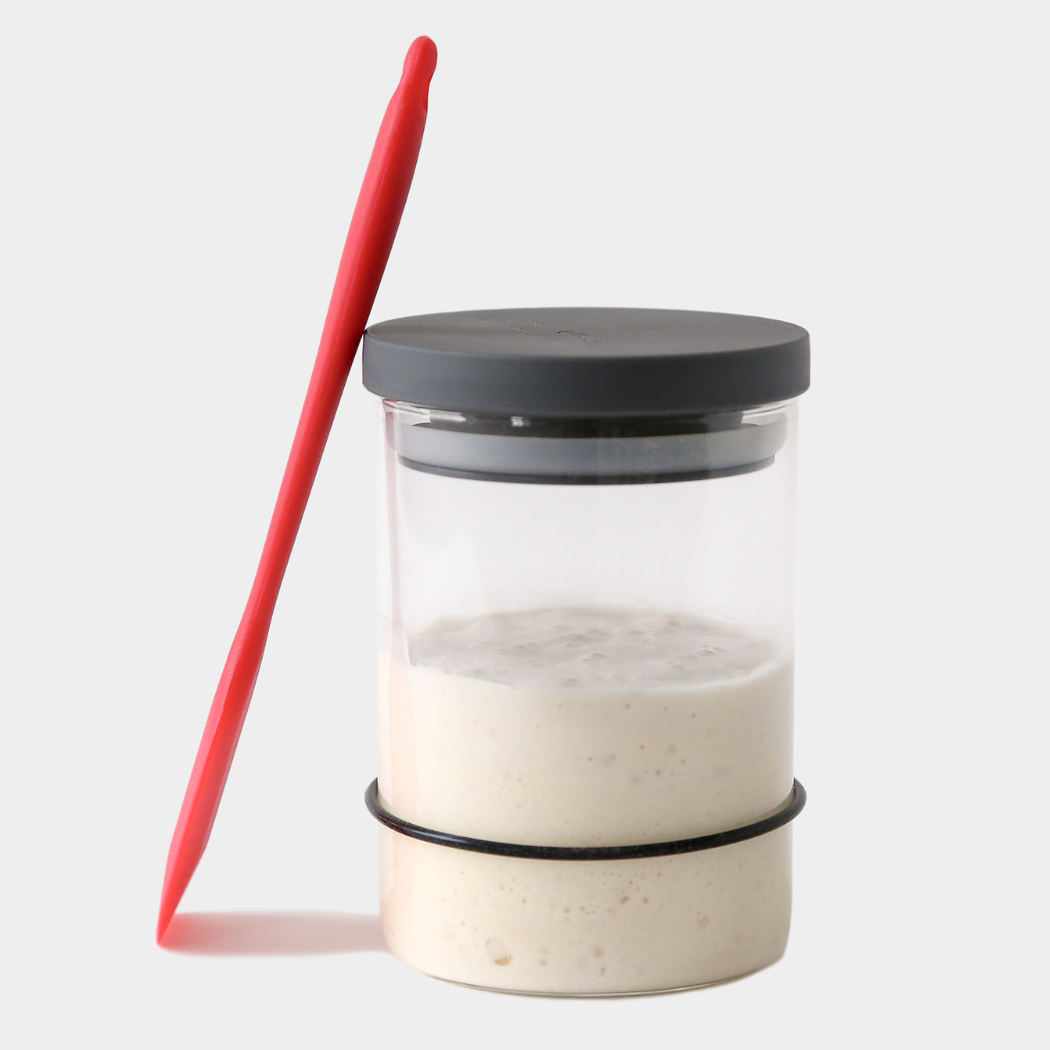 Breadtopia - Breadtopia Sourdough Starter Kit with Jar and Tools