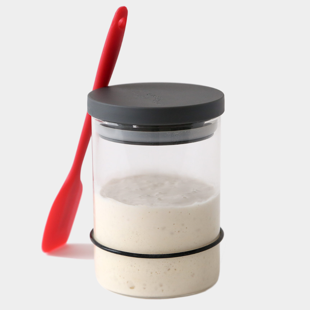 Breadtopia - Breadtopia Sourdough Starter Kit with Jar and Tools
