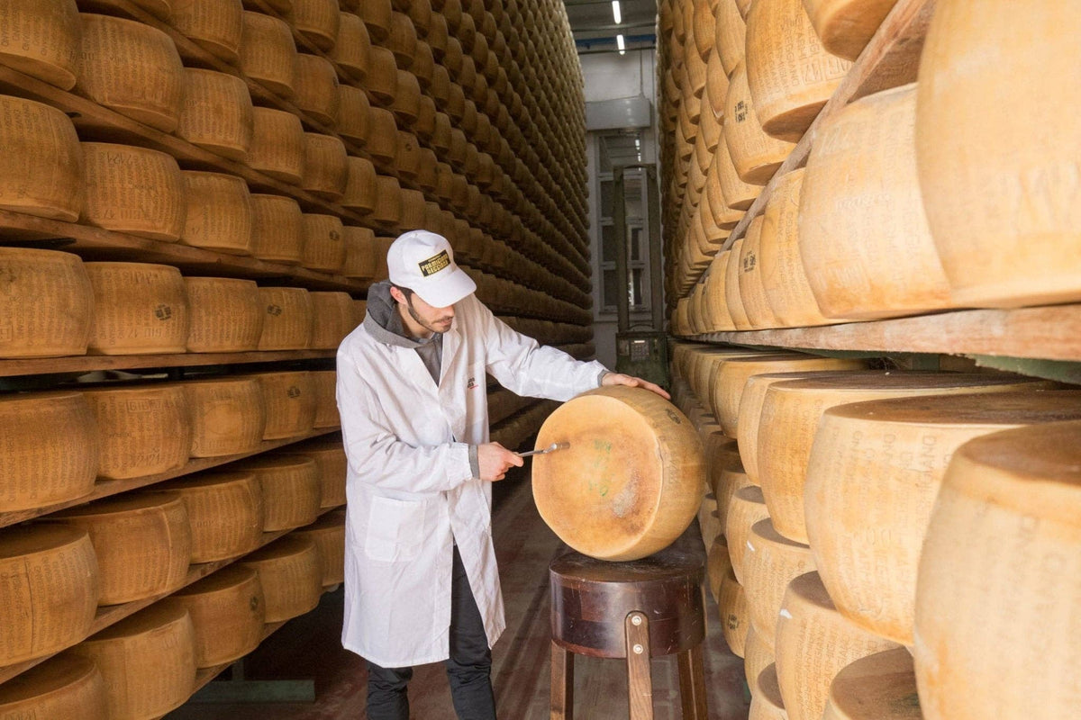 Nicola's Marketplace - Parmigiano Reggiano DOP Mitica® 36 months