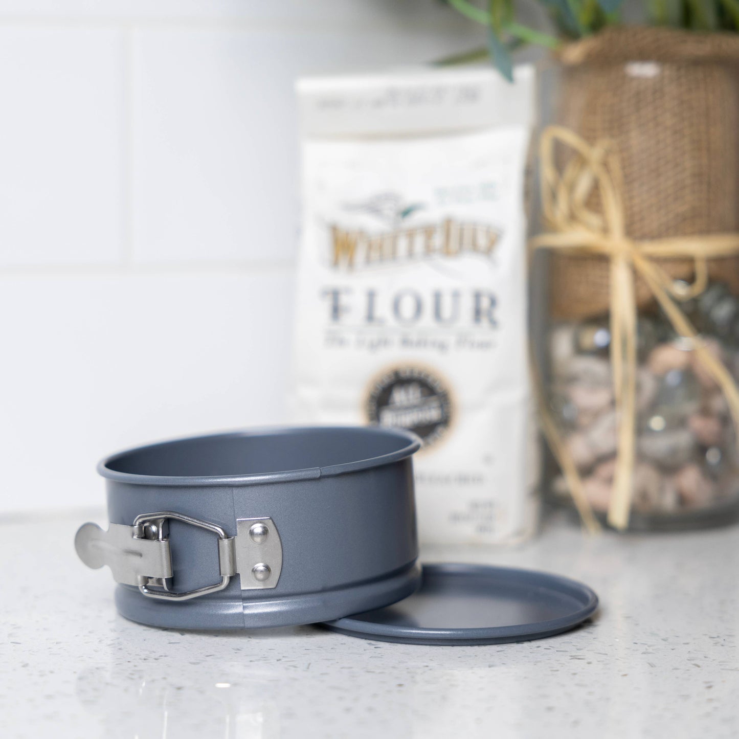 Fox Run Preferred Non-Stick Mini Springform Pan, 4"