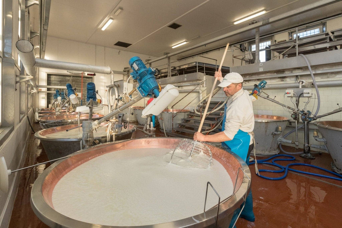 Nicola's Marketplace - Parmigiano Reggiano DOP Mitica® 36 months