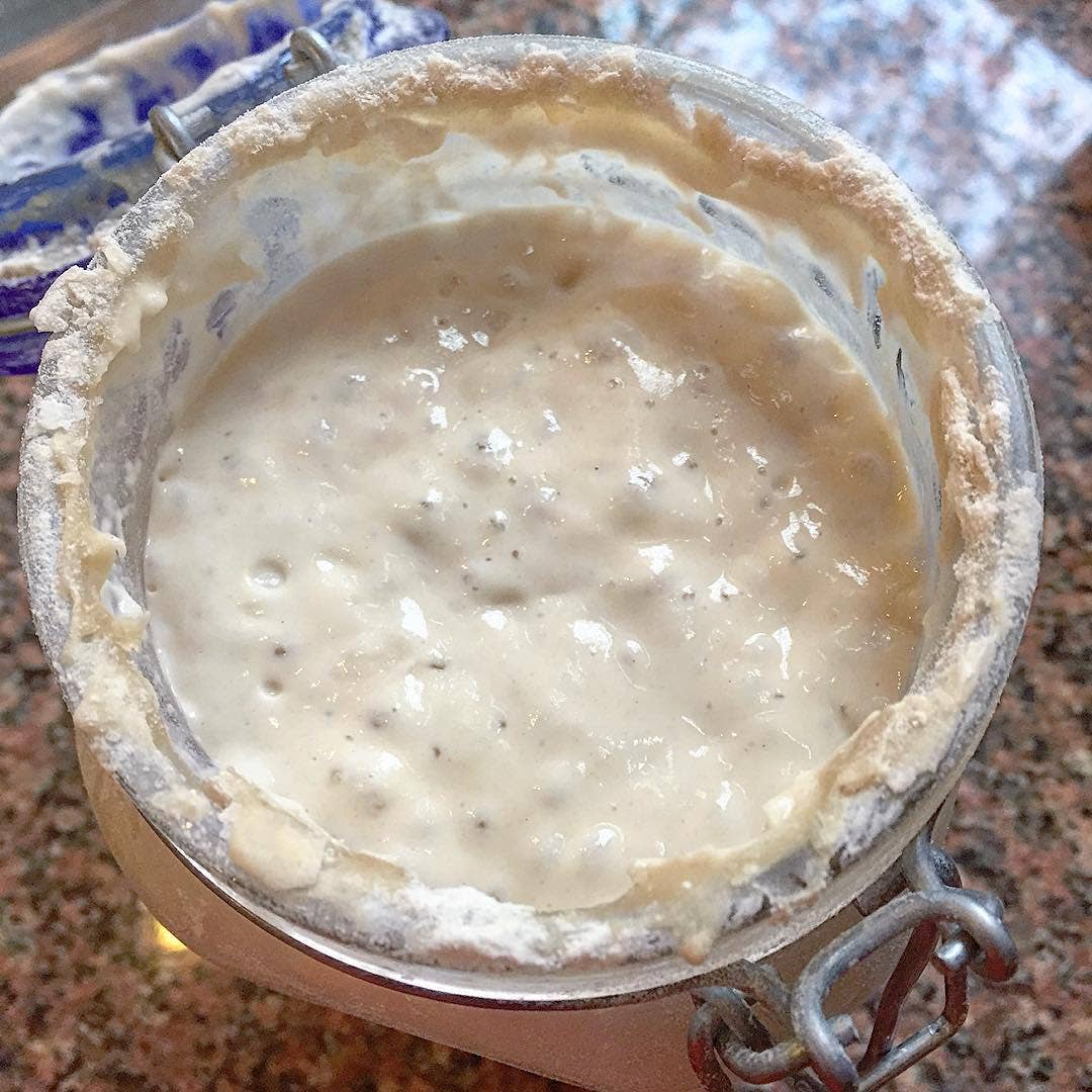 Breadtopia - Breadtopia Dehydrated Sourdough Starter Culture | 24 Pack