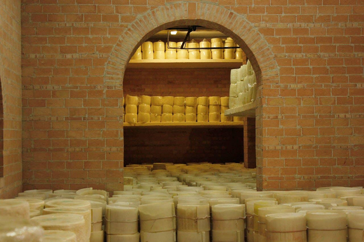 Nicola's Marketplace - Genuine Fulvi® Pecorino Romano DOP