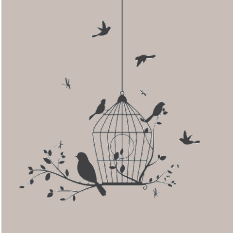 Euroscrubby - Birdcage - Euroscrubby Dishcloth