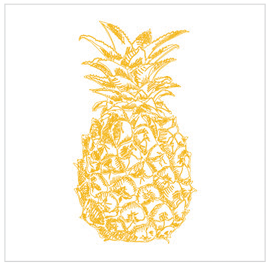 Pineapple - Euroscrubby Dishcloth