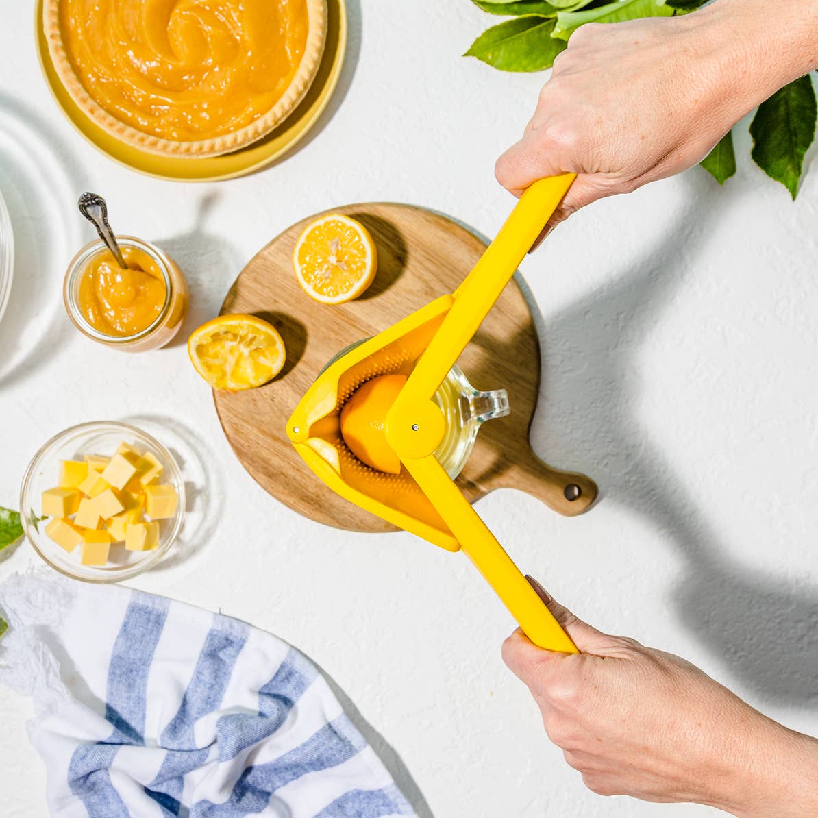 Dreamfarm - Fluicer® Lemon - Fold Flat Easy Citrus Juicer - CDU