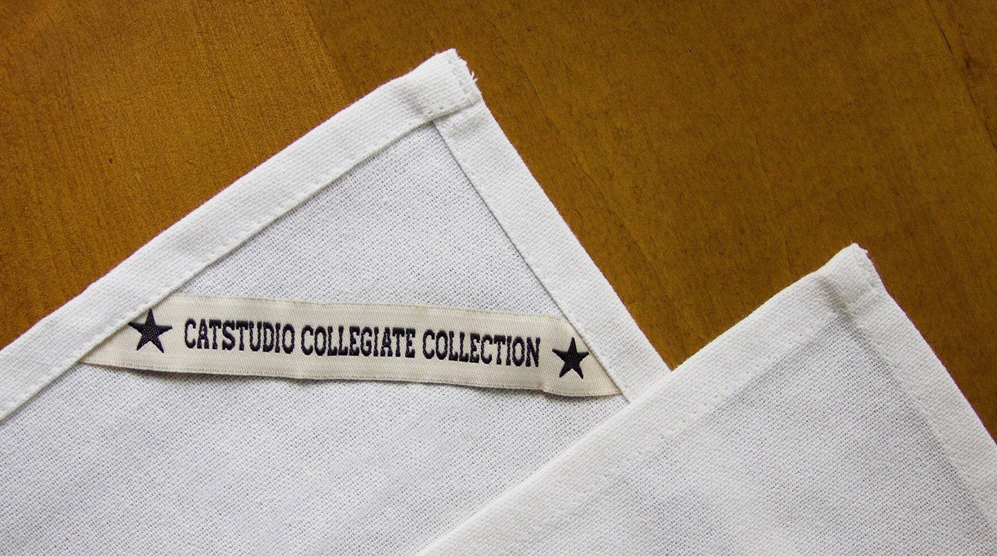 West Virginia University Collegiate Dish Towel
