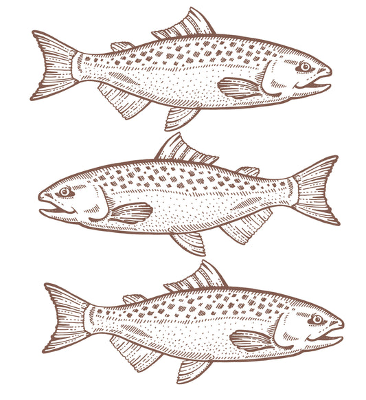 Fish - Euroscrubby Dishcloth