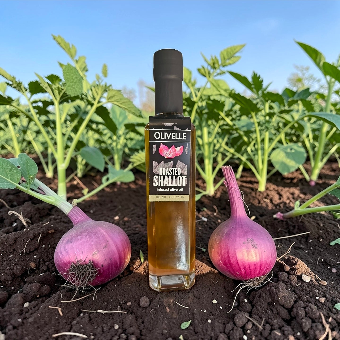 Olivelle Roasted Shallot Olive Oil